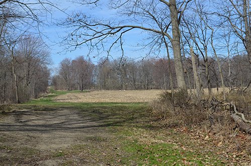 Property photo 115 - REAL ESTATE & PERSONAL PROPERTY AUCTION, 140 Acres offered in 8 Tracts or Combinations in Steuben County